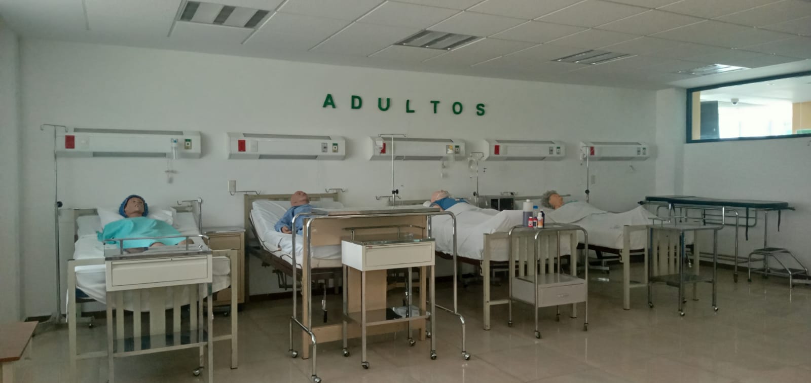 CAMILLAS.jpeg
